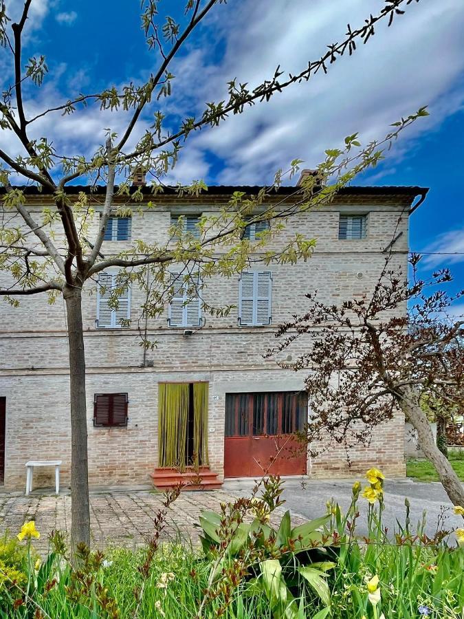 Casa Vacanze Da Peppa Grottazzolina 外观 照片