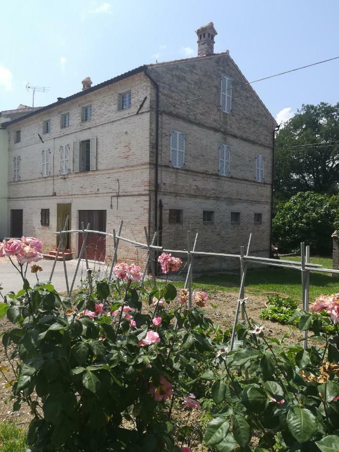 Casa Vacanze Da Peppa Grottazzolina 外观 照片