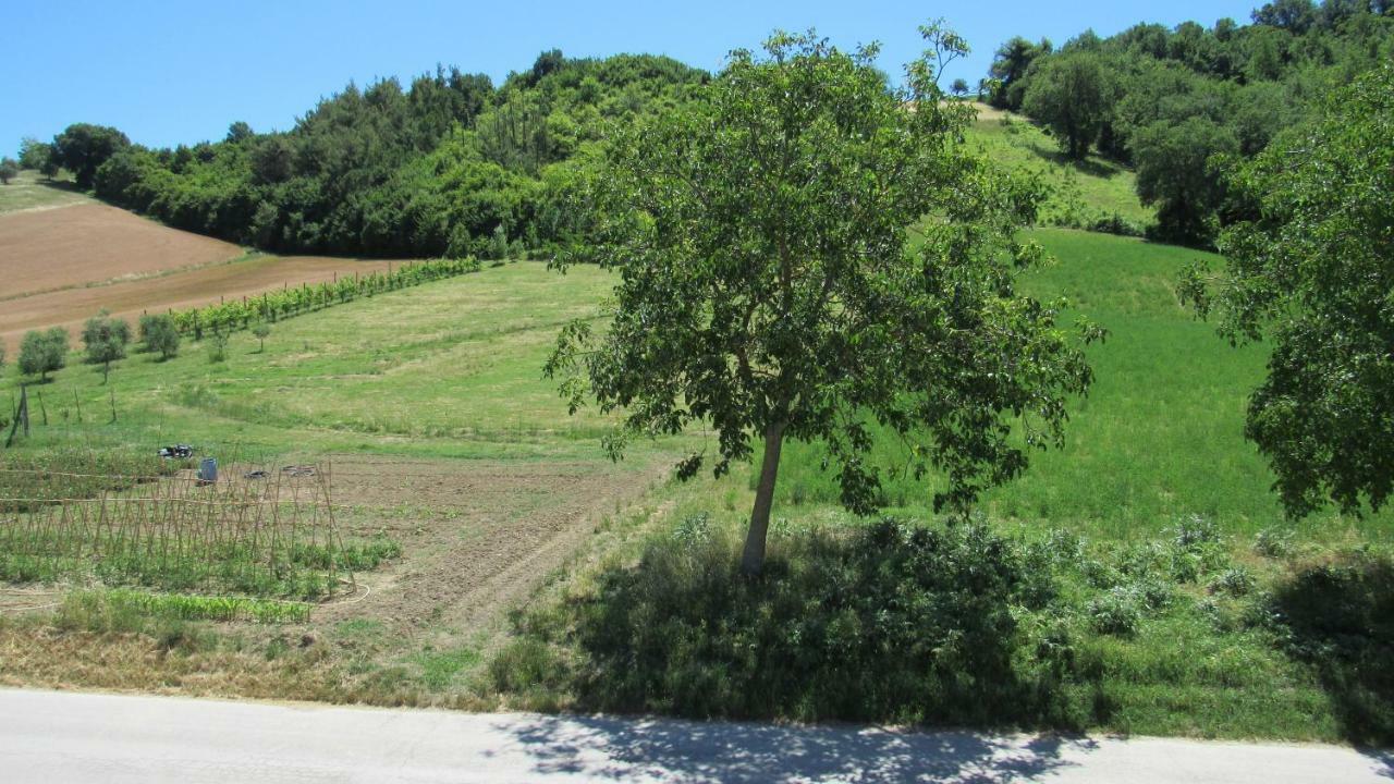 Casa Vacanze Da Peppa Grottazzolina 外观 照片